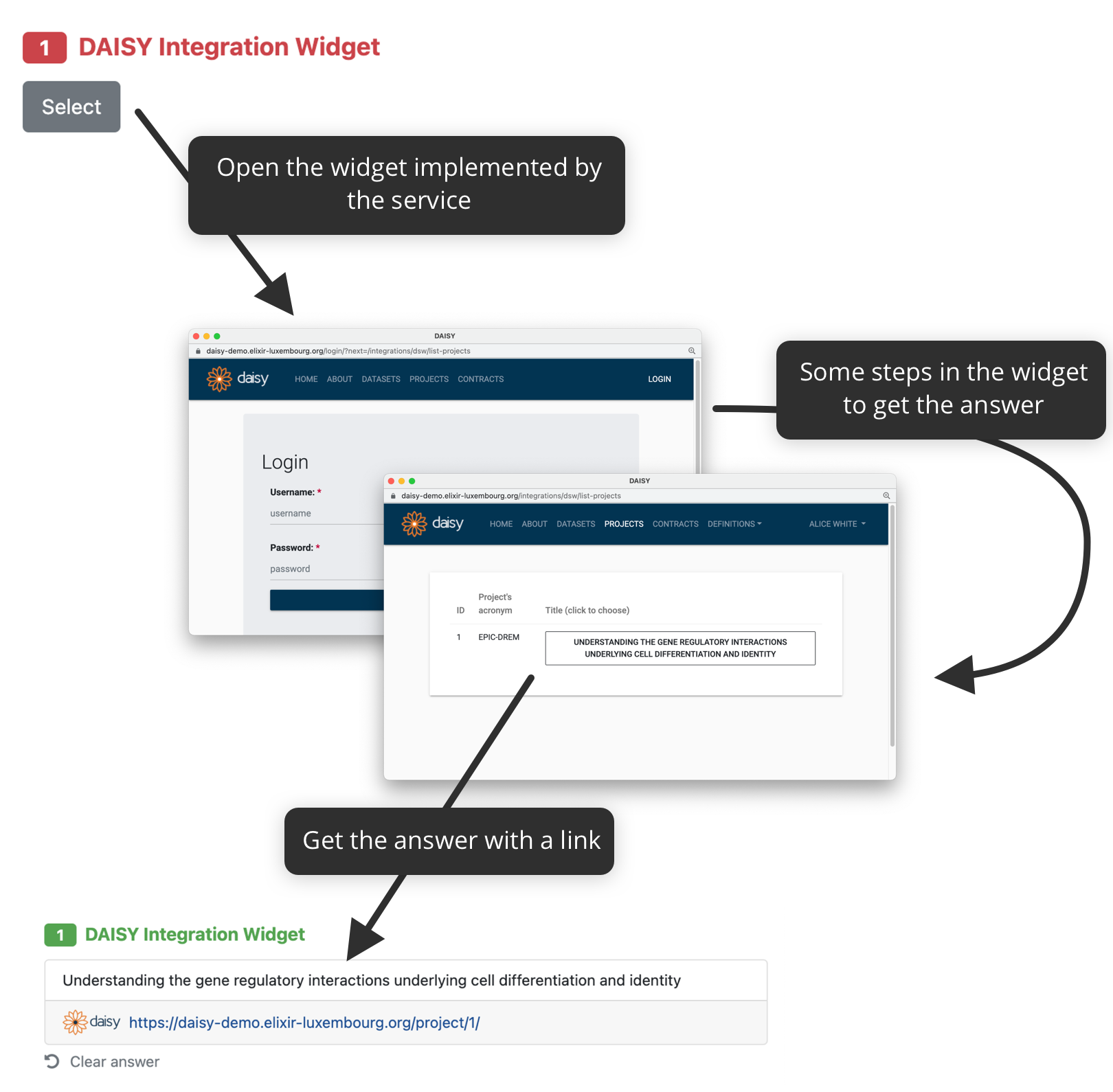 ../../../_images/widget-integration.png